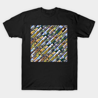 African Wildlife Stripe Collage Blue T-Shirt